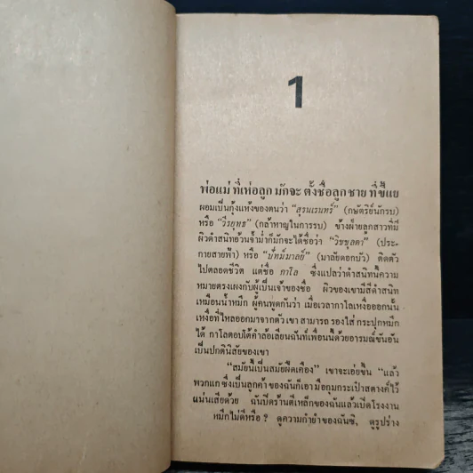 คนขี่เสือ - ดร.ภวานี ภัฏฏาจารย์, ทวีป วรดิลก รูปที่ 8