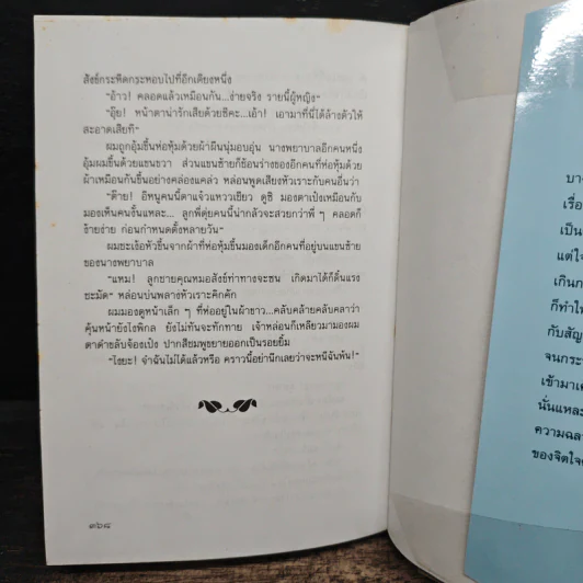 หนุ่มทิพย์ - แก้วเก้า รูปที่ 8
