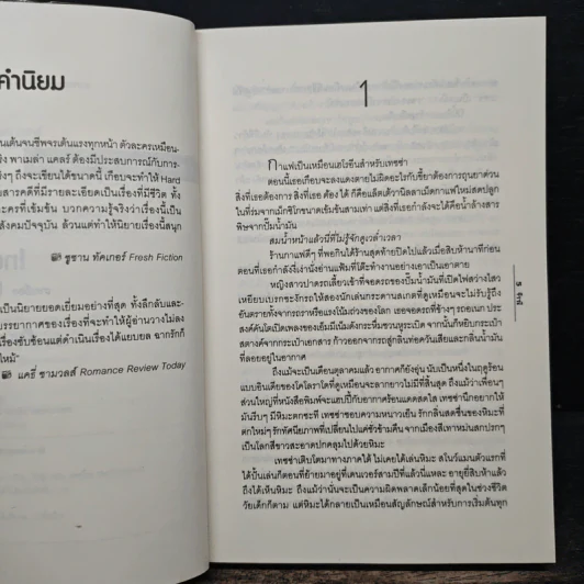 เทพบุตรราตรี - Pamela Clare, จีรณี รูปที่ 7