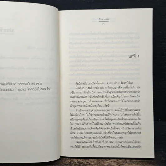 สิบ step เก็บนิยามรัก - ป้าหนอน รูปที่ 7