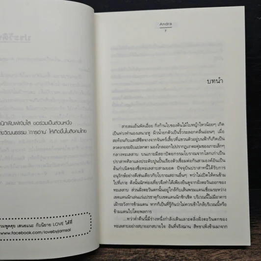 ชุดสิเน่หาผู้พิทักษ์ : สุดหัวใจราชัน - Andra รูปที่ 7