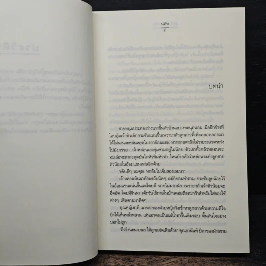อุ่นไอ ใต้เงารัก - นลัท รูปที่ 7