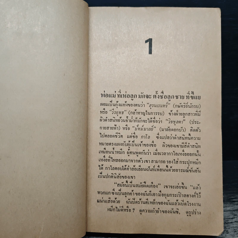 คนขี่เสือ - ดร.ภวานี ภัฏฏาจารย์, ทวีป วรดิลก รูปที่ 8