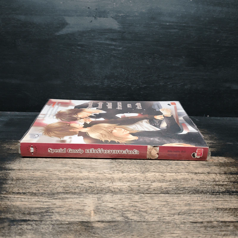 Special Gossip เคลียร์ข่าวฉาวเจาะข่าวรัก - Hideko_Sunshine, Merlin, เจ้าหญิงผู้เลอโฉม รูปที่ 3