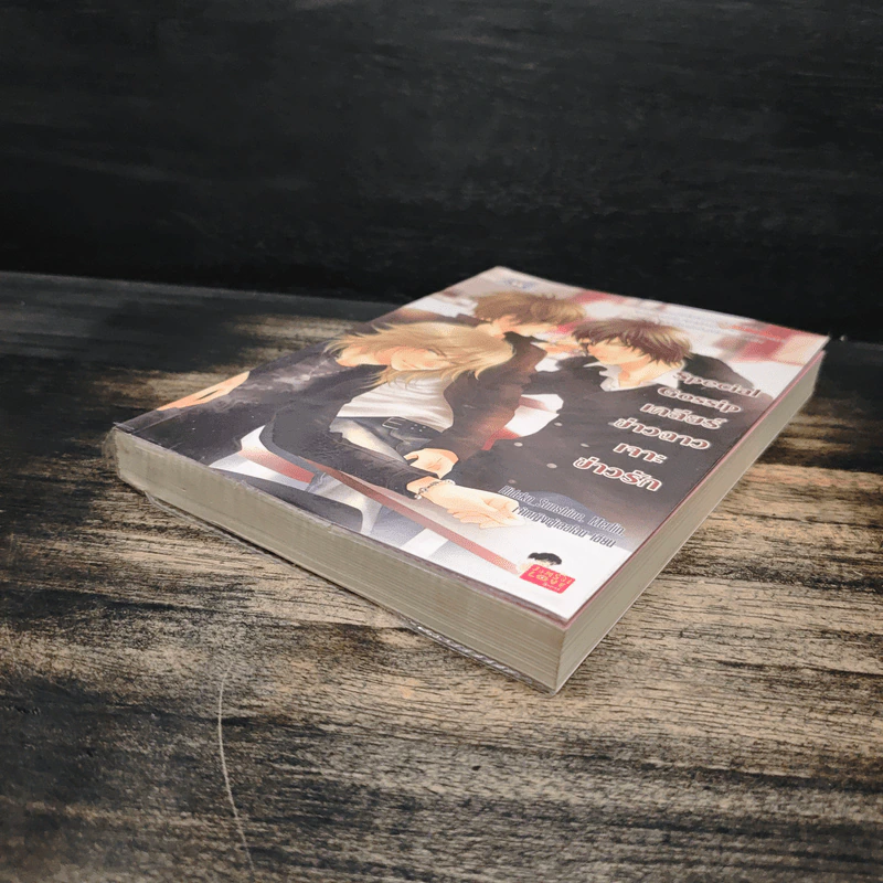 Special Gossip เคลียร์ข่าวฉาวเจาะข่าวรัก - Hideko_Sunshine, Merlin, เจ้าหญิงผู้เลอโฉม รูปที่ 4
