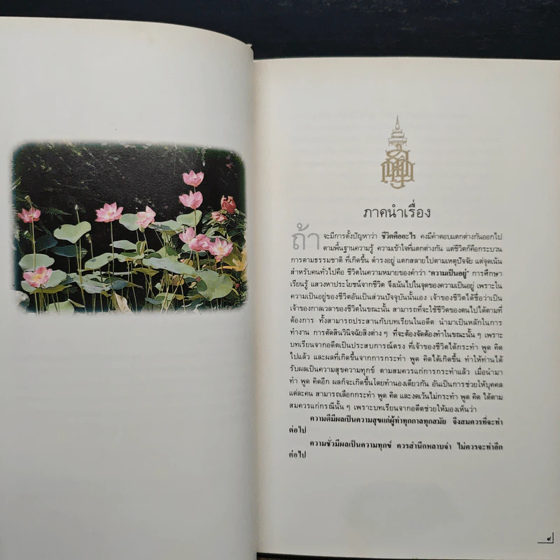90 พรรษา แม่ฟ้าหลวง รูปที่ 8
