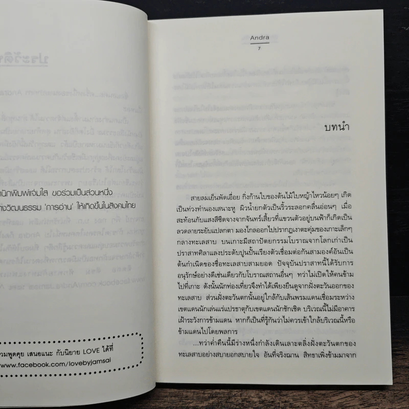 ชุดสิเน่หาผู้พิทักษ์ : สุดหัวใจราชัน - Andra รูปที่ 7