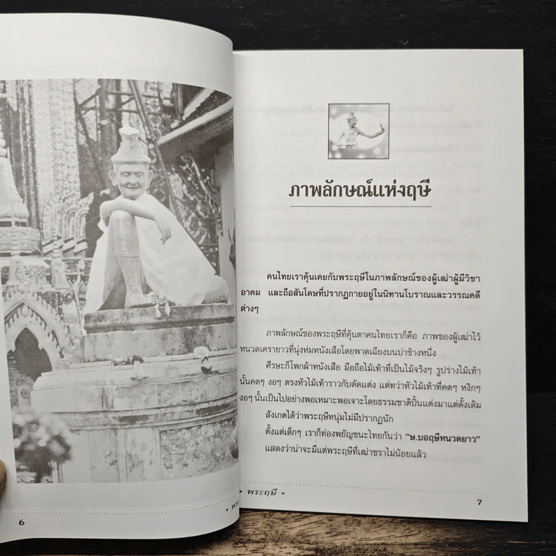 พระฤษี - ศาตะนันท์ โพธิมาลา รูปที่ 8