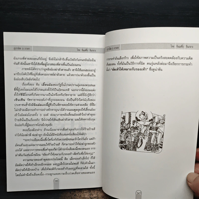 สุภาษิต 3 ภาษา ไทย แต้จิ๋ว จีนกลาง รูปที่ 10