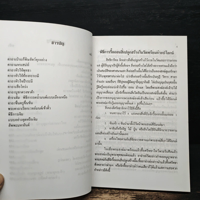 ของดีจากปั๊บสา รูปที่ 11
