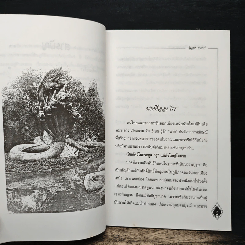 คำชะโนด เมืองพญานาค - ลอง ธารา รูปที่ 8