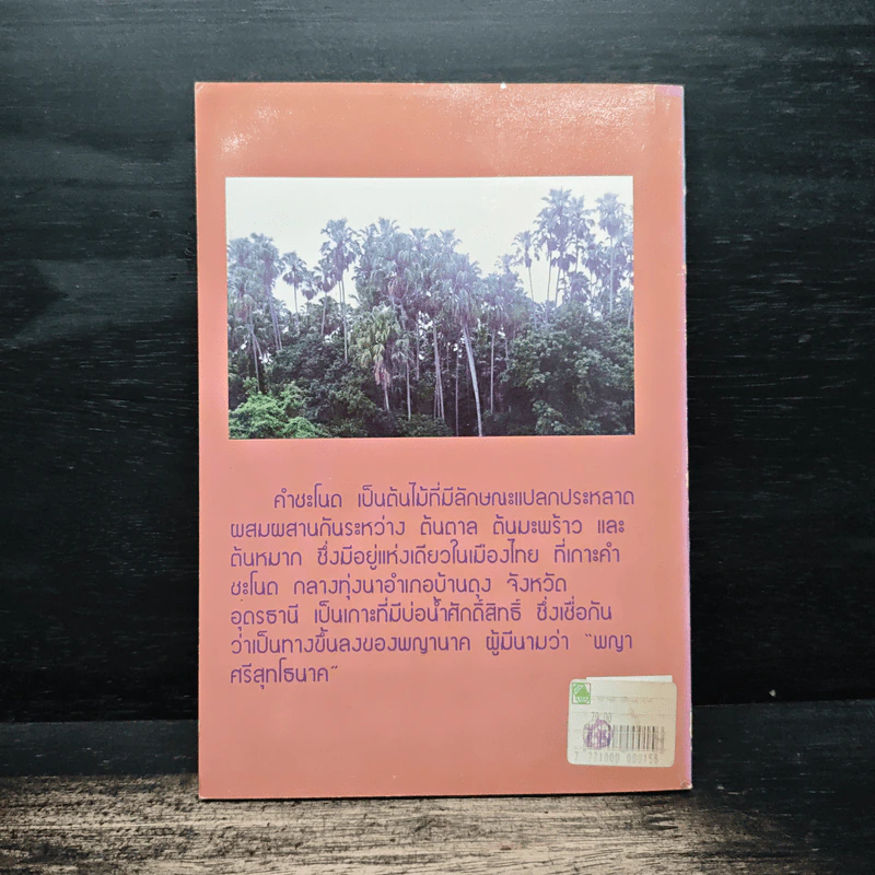 คำชะโนด เมืองพญานาค - ลอง ธารา รูปที่ 2