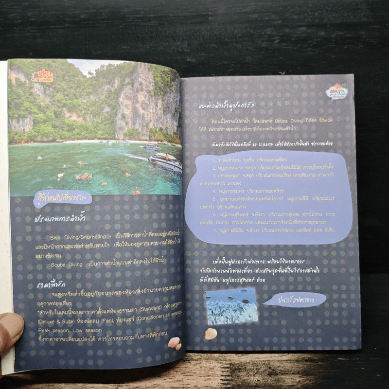 ยึดเกาะ เลาะทะเล เย็นลม งมปะการัง รูปที่ 8