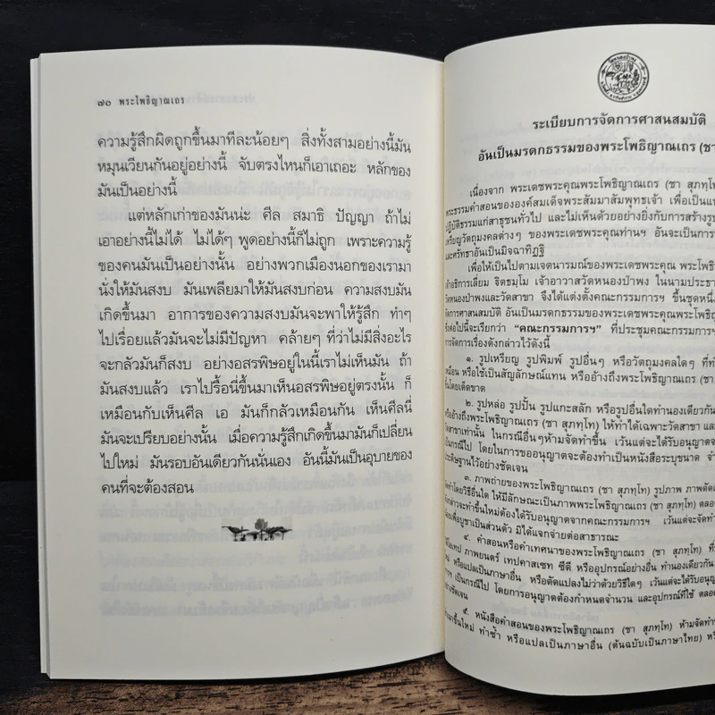 ปฏิปทาพระโพธิญาณ - ชา สุภทโท รูปที่ 9