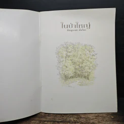 ในป่าใหญ่ - มิตษุมาสะ อันโนะ รูปที่ 6