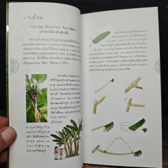 สนุกในสวน - ฤทัย จงสฤษดิ์ รูปที่ 9