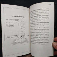 ก่อนจะเกิดใหม่ในเพศสมณะ - ตกกสรโณ ภิกขุ รูปที่ 10