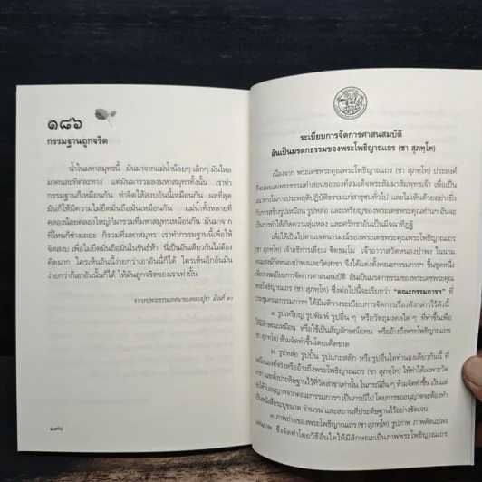 ความผิดในความถูก - พระโพธิญาณเถร รูปที่ 8