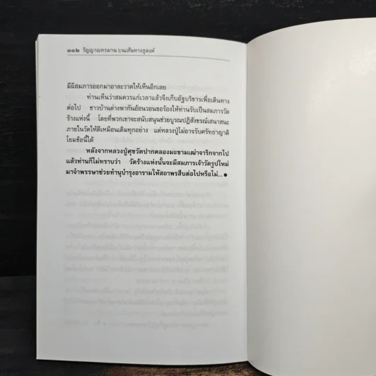 วิญญาณทรมานบนเส้นทางธุดงค์ - นที ลานโพธิ์ รูปที่ 9