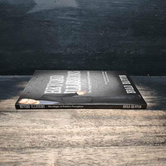 Beyond Illusions - Brad Barton รูปที่ 3