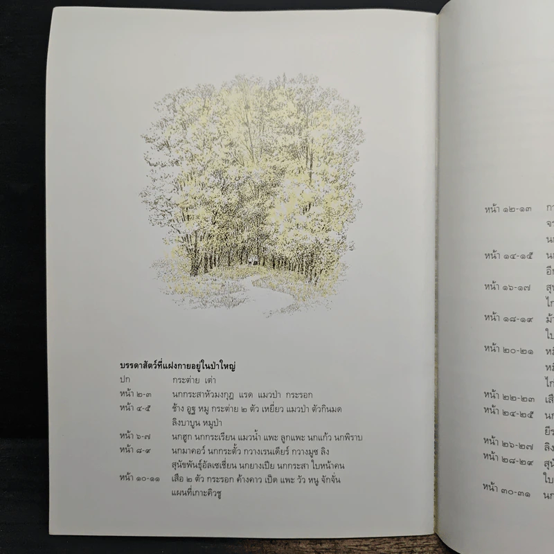 ในป่าใหญ่ - มิตษุมาสะ อันโนะ รูปที่ 9