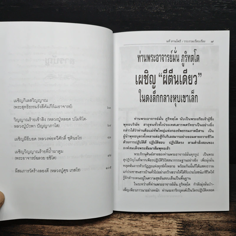 วิญญาณทรมานบนเส้นทางธุดงค์ - นที ลานโพธิ์ รูปที่ 8