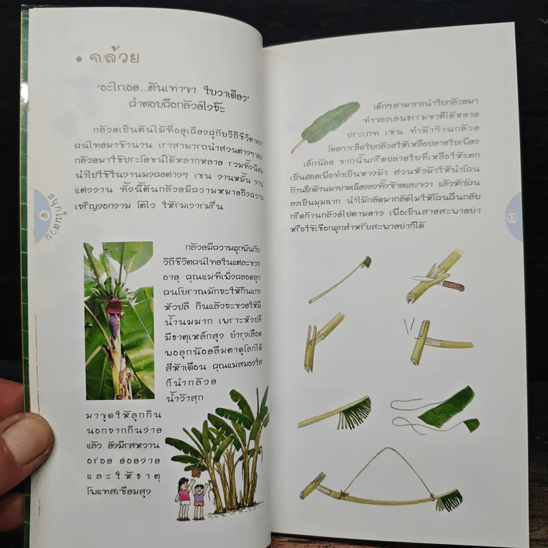 สนุกในสวน - ฤทัย จงสฤษดิ์ รูปที่ 9