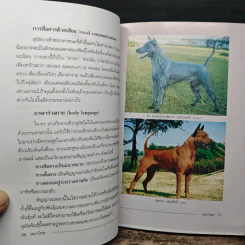 หมาไทย: นักสู้ผู้ภักดีและทระนง - สันต์ นาคะสุวรรณ รูปที่ 8