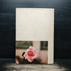Compact Rules (Senior Edition) - Kanit Wanachote รูปที่ 2