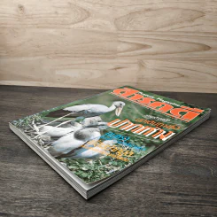 Feature Magazine สารคดี ฉบับที่ 74 ปีที่ 7 เมษายน 2534 คนชรา รูปที่ 4