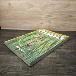 Feature Magazine สารคดี ฉบับที่ 118 ปีที่ 10 ธ.ค.2537 รูปที่ 4