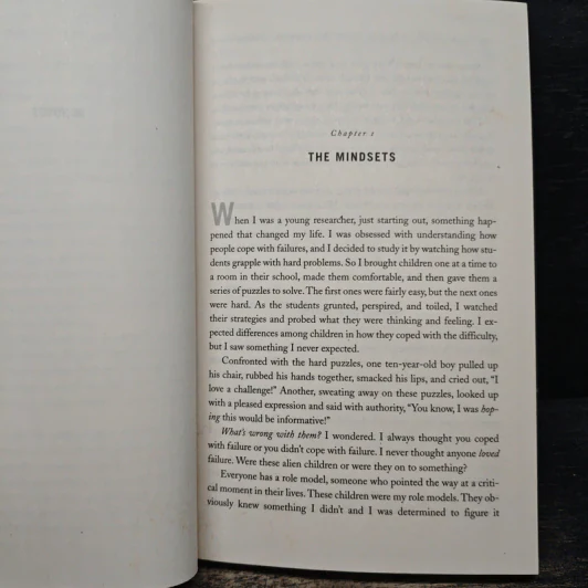 Mindset The New Psychology of Success - Carol S.Dweck รูปที่ 9