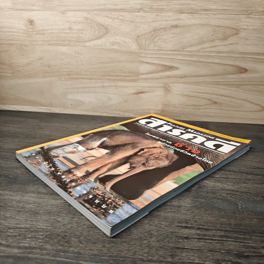 Feature Magazine สารคดี ฉบับที่ 171 ปีที่ 15 พ.ค.2542 รูปที่ 4