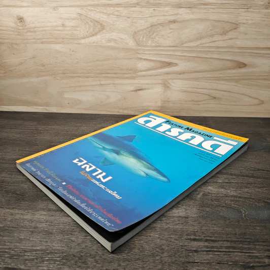 Feature Magazine สารคดี ฉบับที่ 160 ปีที่ 14 มิถุนายน 2541 ฉลามไม่ร้ายแห่งทะเลไทย รูปที่ 4