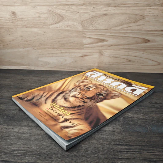 Feature Magazine สารคดี ฉบับที่ 155 ปีที่ 13 ม.ค.2541 รูปที่ 4
