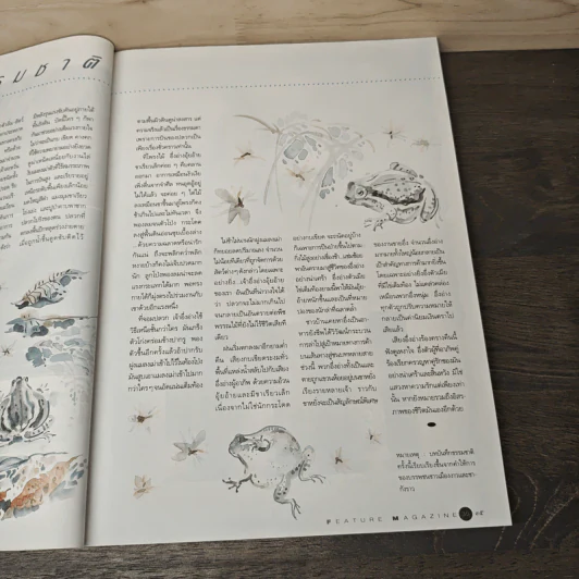 Feature Magazine สารคดี ฉบับที่ 101 ปีที่ 9 ก.ค.2536 รูปที่ 9