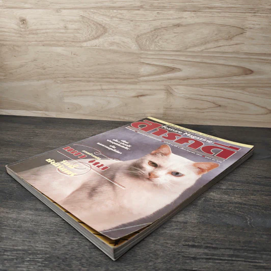 Feature Magazine สารคดี ฉบับที่ 42 ปีที่ 4 ก.ย.2531 รูปที่ 4