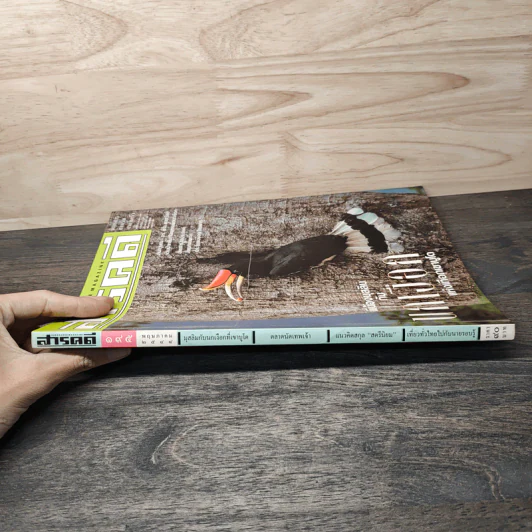 Feature Magazine สารคดี ฉบับที่ 195 พ.ค.2544 รูปที่ 3