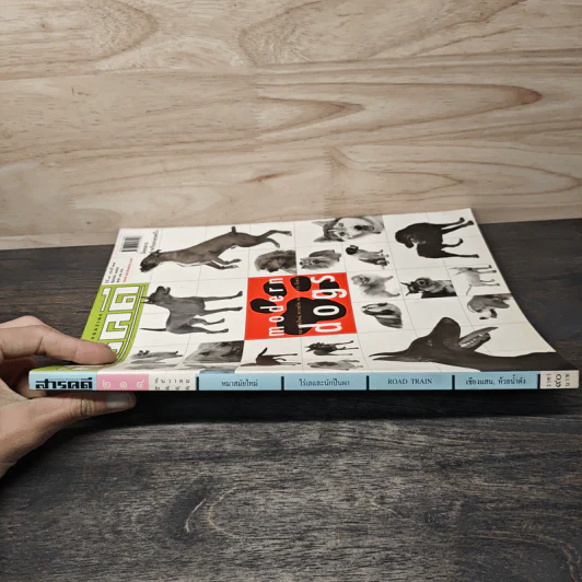 Feature Magazine สารคดี ฉบับที่ 214 ธ.ค.2545 รูปที่ 3