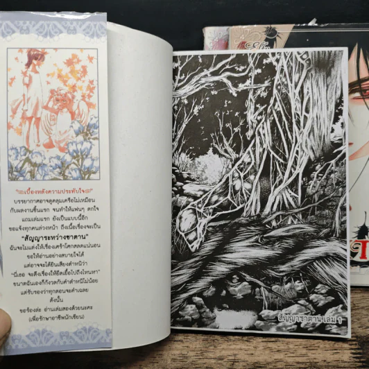การ์ตูนวาย สัญญาซาตาน เล่ม 1-3 รูปที่ 6