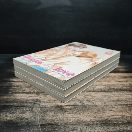 Dream becomes love ผูกรัก...ผูกฝัน เล่ม 1-3 รูปที่ 3