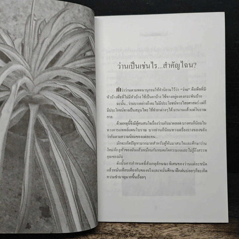 ว่าน ต้นไม้อัศจรรย์ - วันชนะ รูปที่ 8