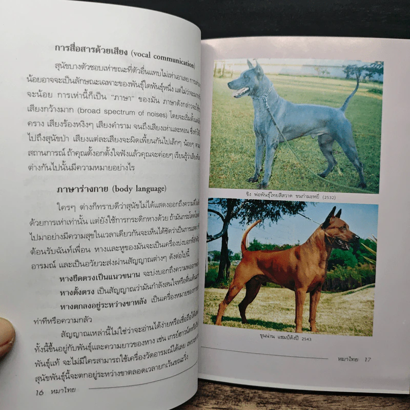 หมาไทย: นักสู้ผู้ภักดีและทระนง - สันต์ นาคะสุวรรณ รูปที่ 8