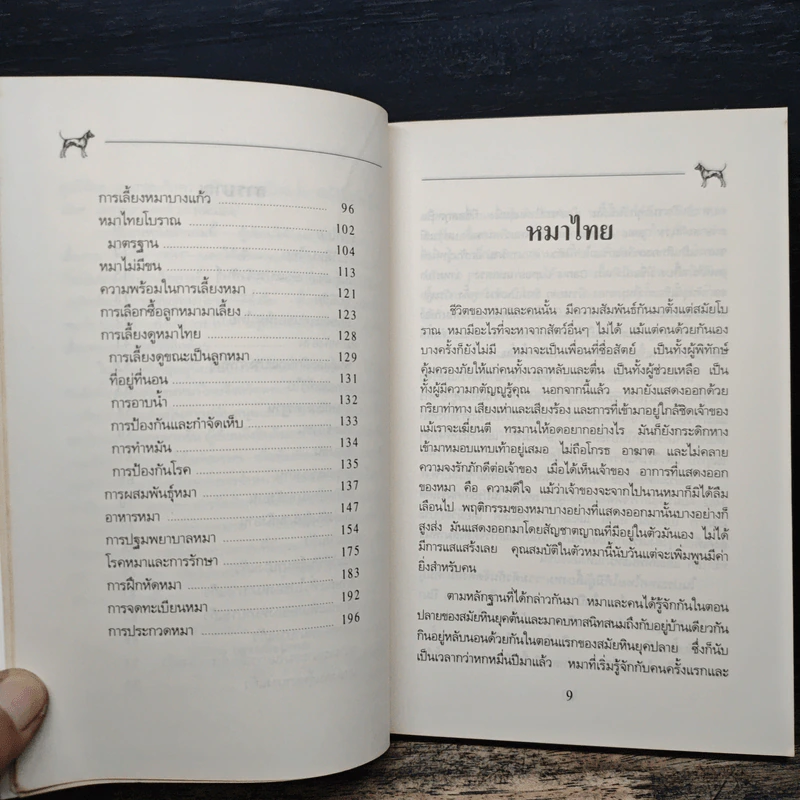 หมาไทย - สำราญ บรรณกิจไสภณ รูปที่ 8