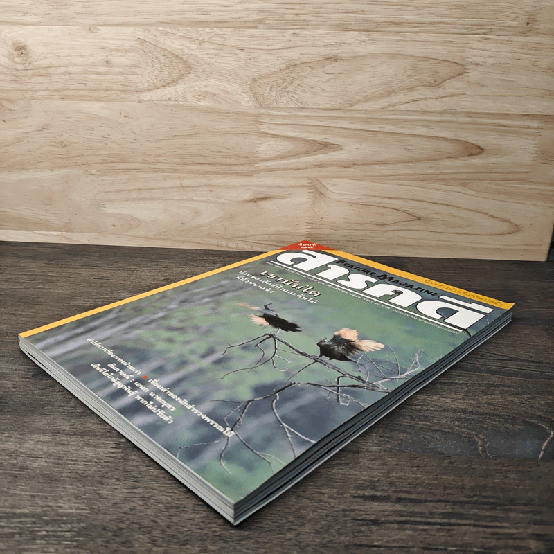 Feature Magazine สารคดี ฉบับที่ 169 ปีที่ 15 มี.ค.2542 รูปที่ 4