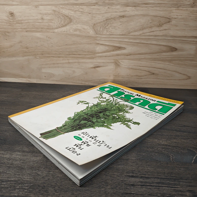 Feature Magazine สารคดี ฉบับที่ 134 ปีที่ 12 เม.ย.2538 รูปที่ 4