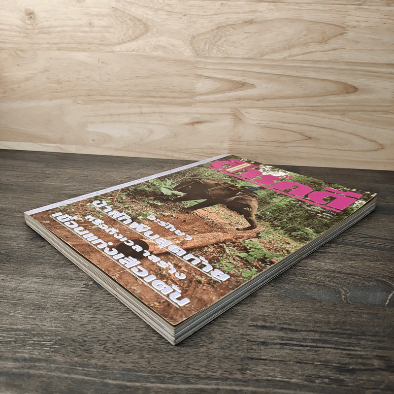 Feature Magazine สารคดี ปีที่ 8 ฉบับที่ 95 ม.ค.2536 รูปที่ 4
