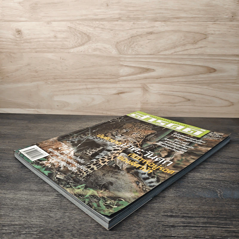 Feature Magazine สารคดี ฉบับที่ 213 พ.ศ.2548 รูปที่ 4