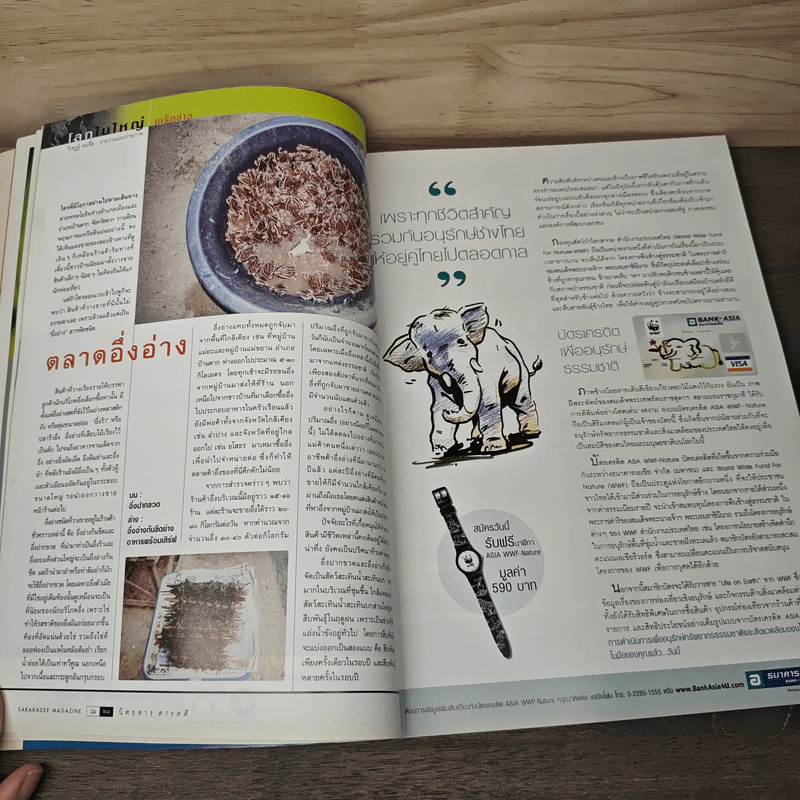สารคดี ปีที่ 18 ฉบับที่ 210 ส.ค. 2545 มด รูปที่ 9