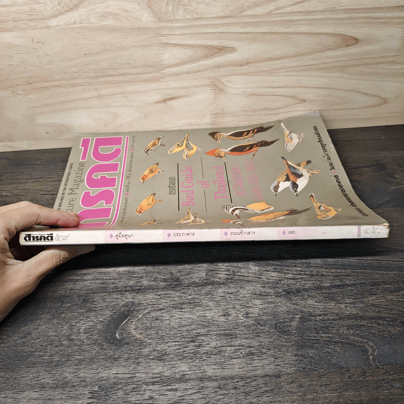 Feature Magazine สารคดี ฉบับที่ 59 ปีที่ 5 ม.ค. 2533 คู่มือดูนก รูปที่ 3